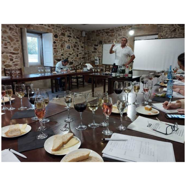 curso cata de vinos 14