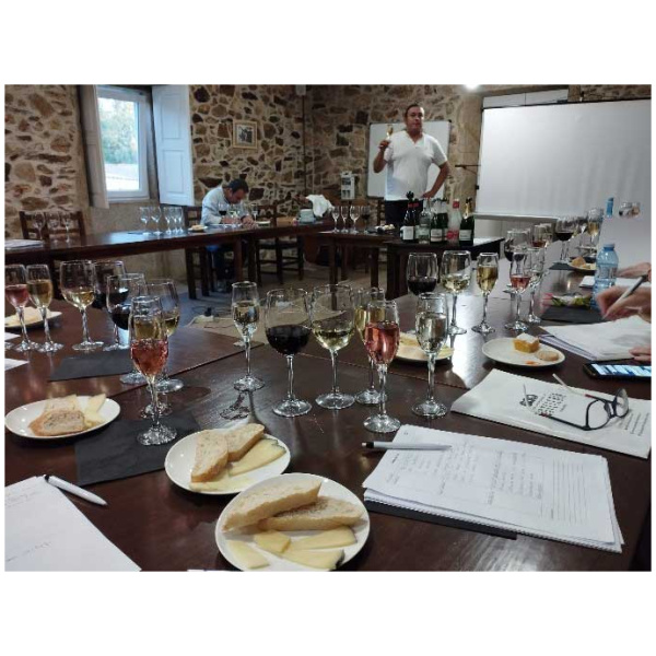 curso cata de vinos 15