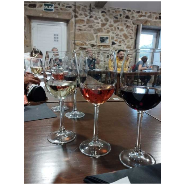 curso cata de vinos 17
