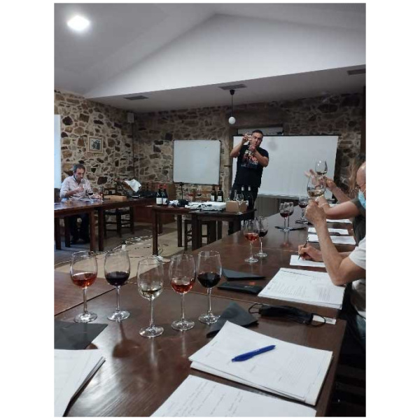 curso cata de vinos 20