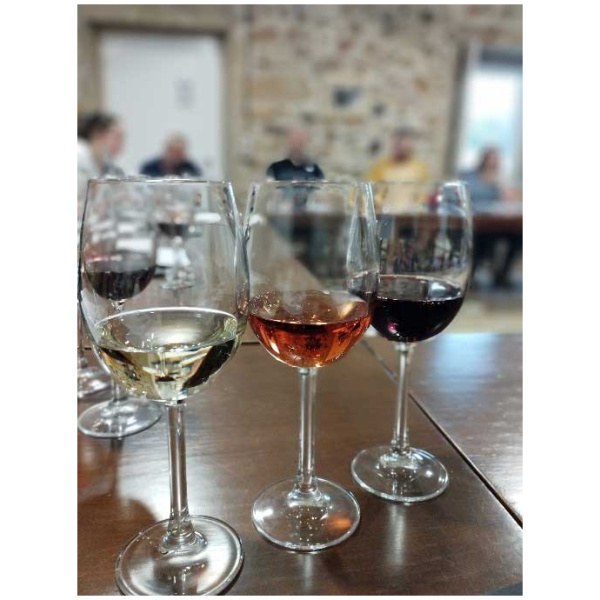 curso cata de vinos 21