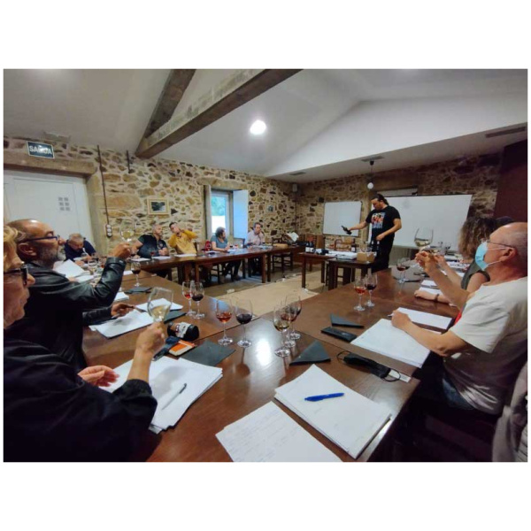 curso cata de vinos 22