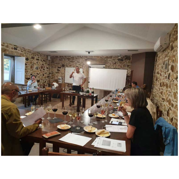 curso cata de vinos 4