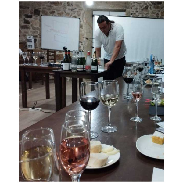 curso cata de vinos 9