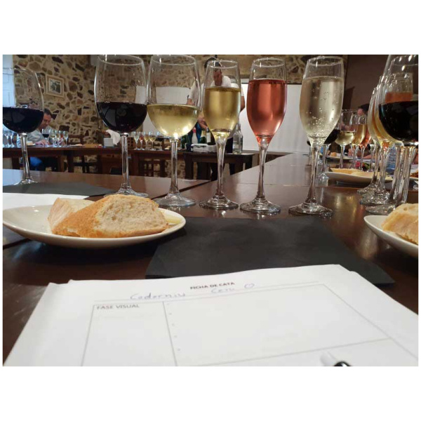 curso cata de vinos 11