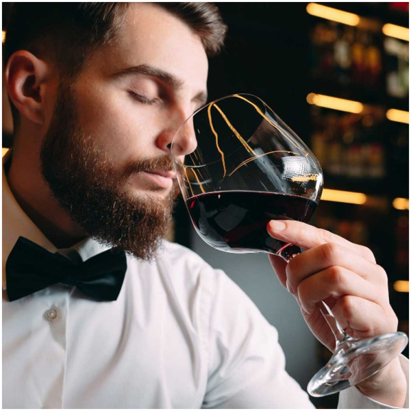 cata de vinos