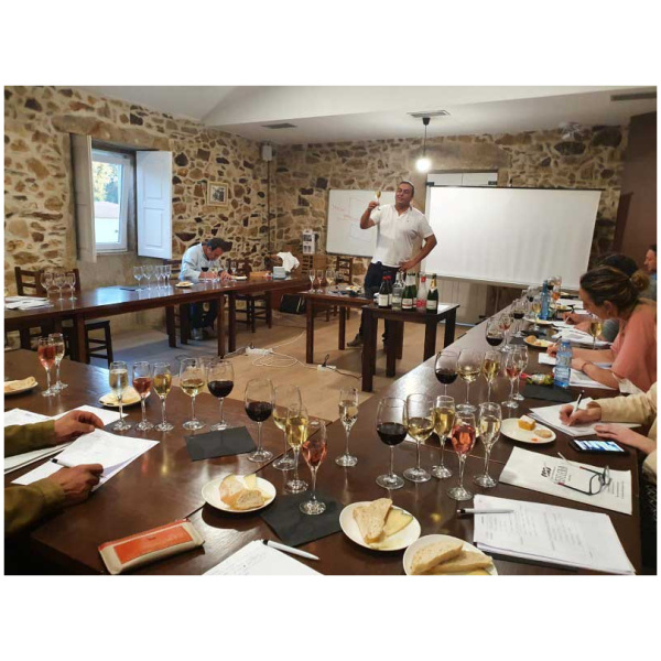 curso cata de vinos 1